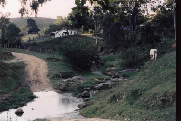 Paisagem rural tão comum em Tanguá.